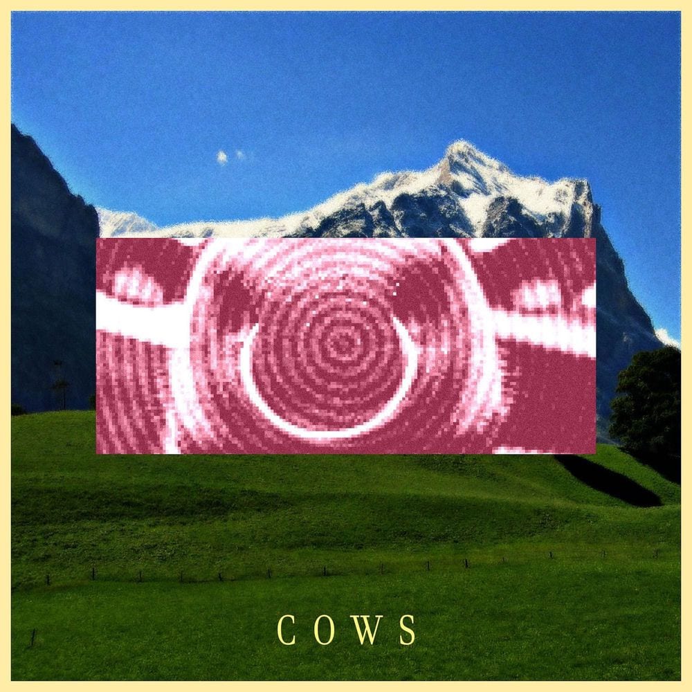 cows cover