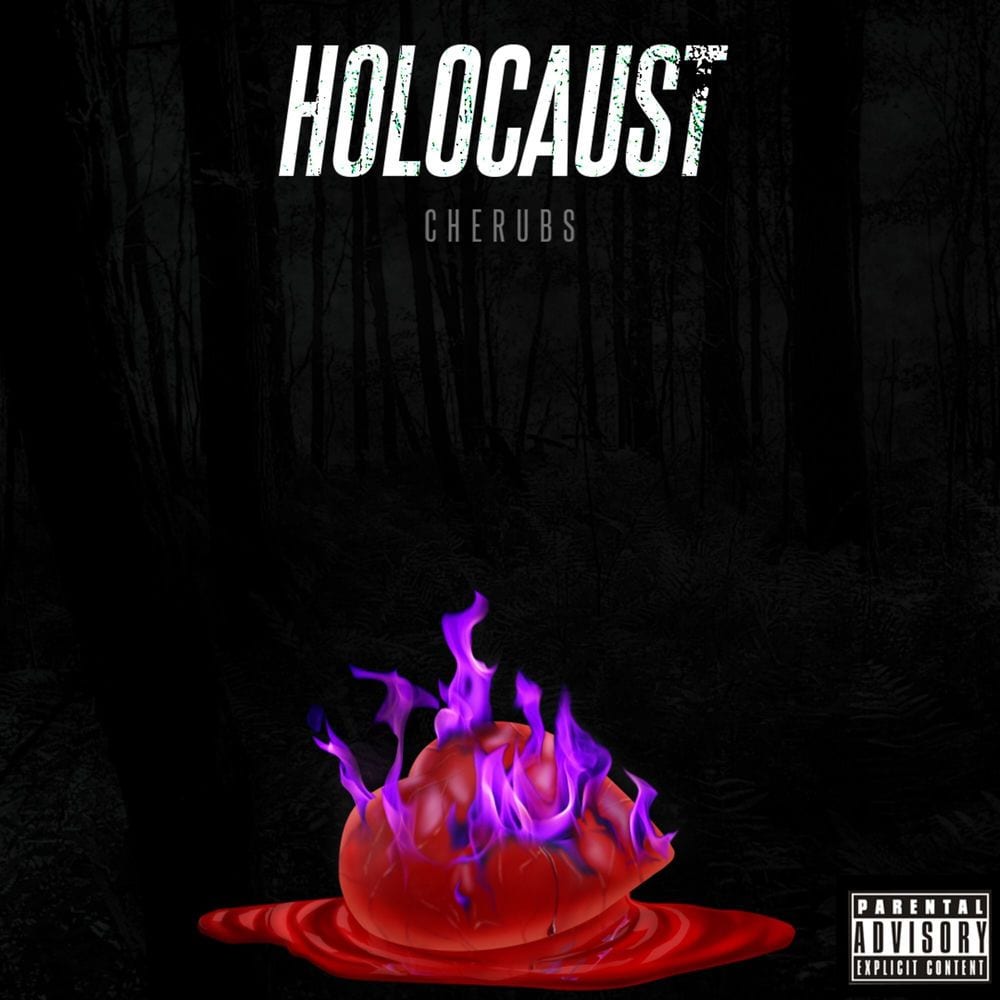 Holocaust cover