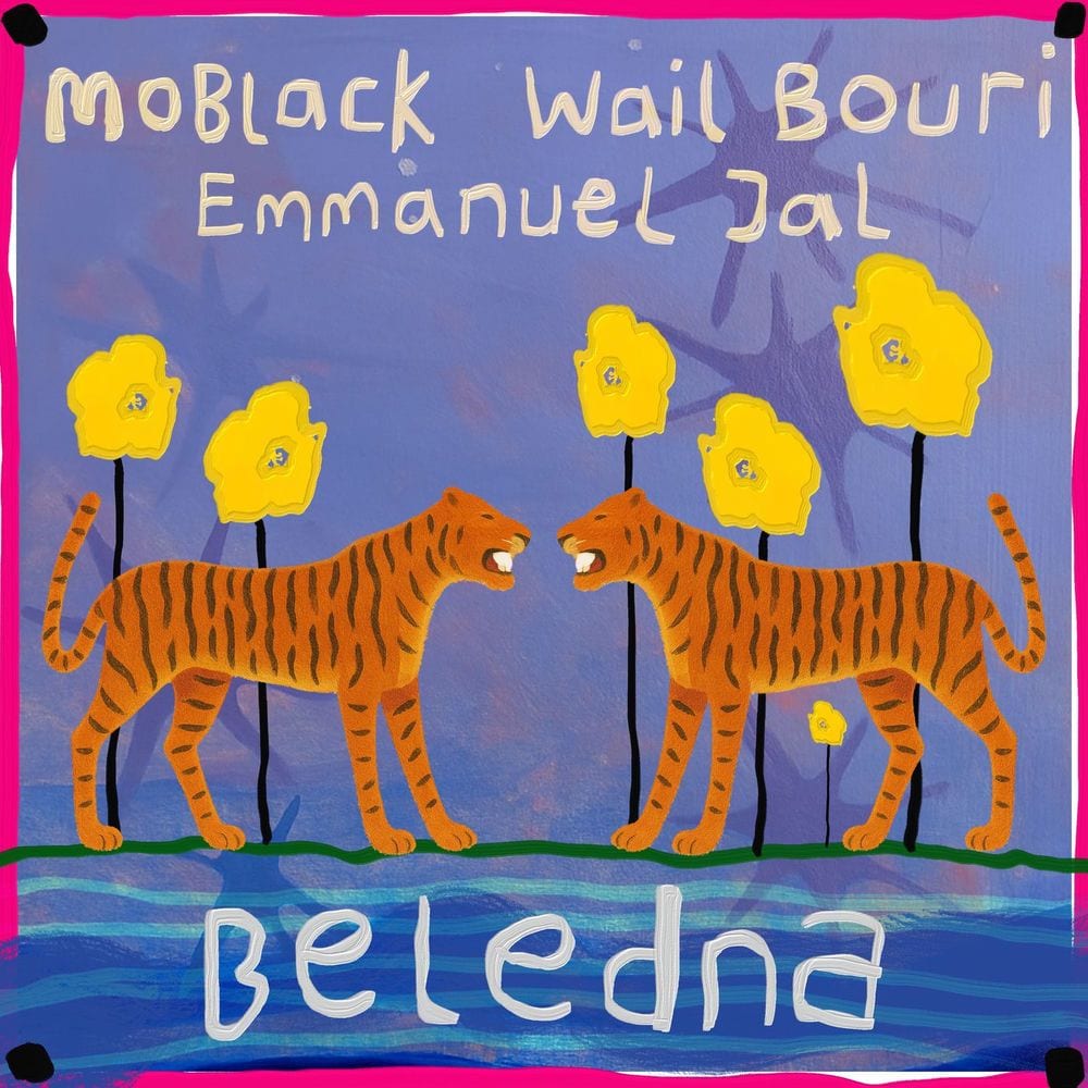 Beledna cover