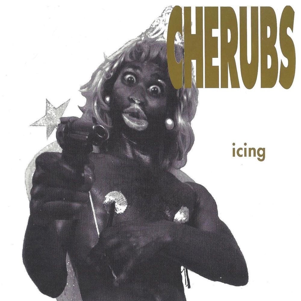 Icing cover
