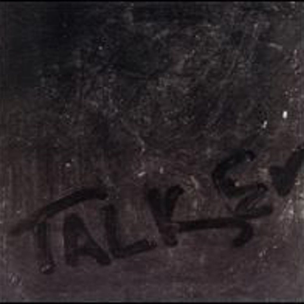 Talker cover