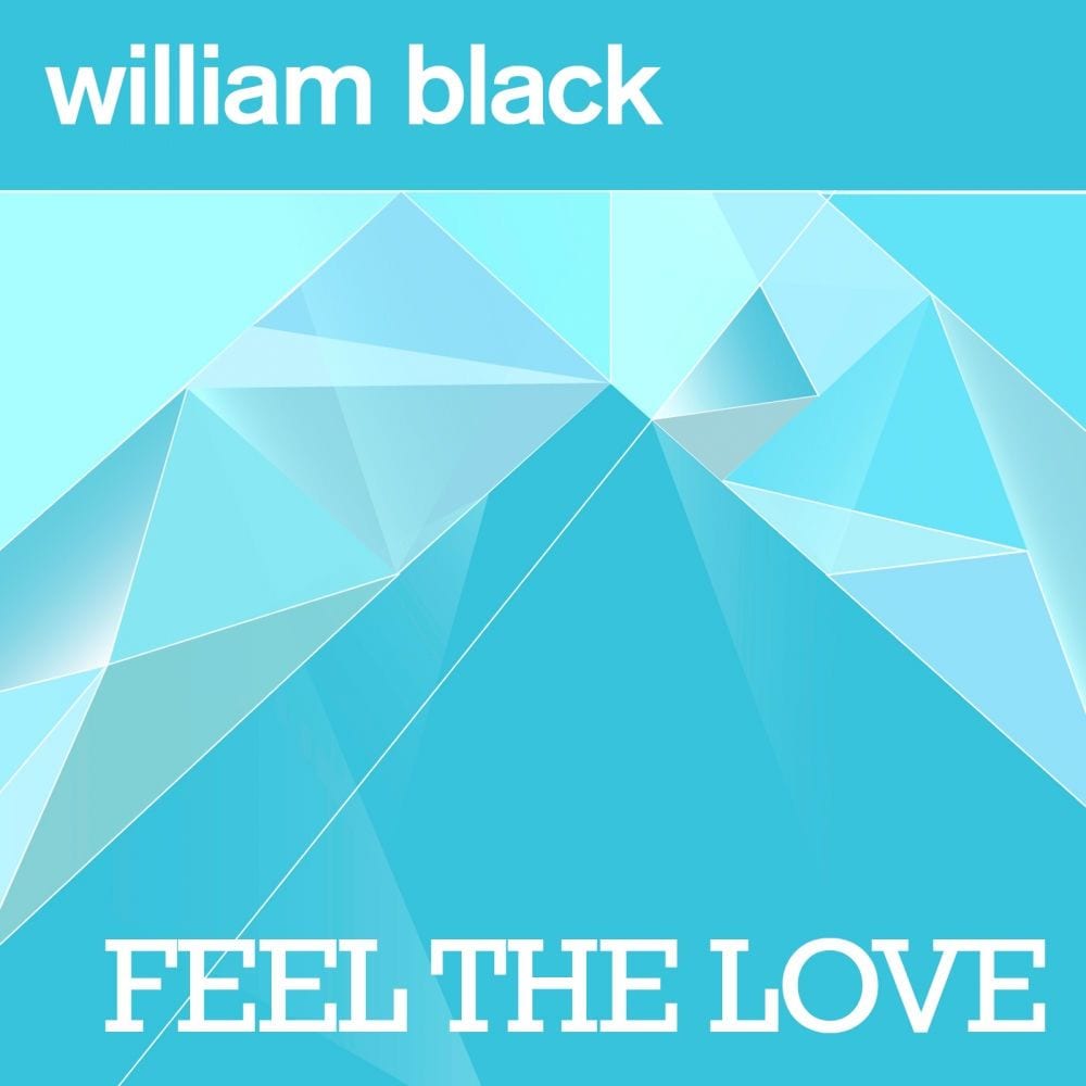 Feel The Love cover