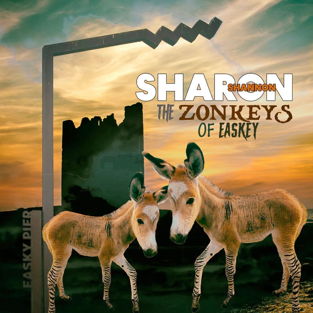 The Zonkeys of Easkey cover