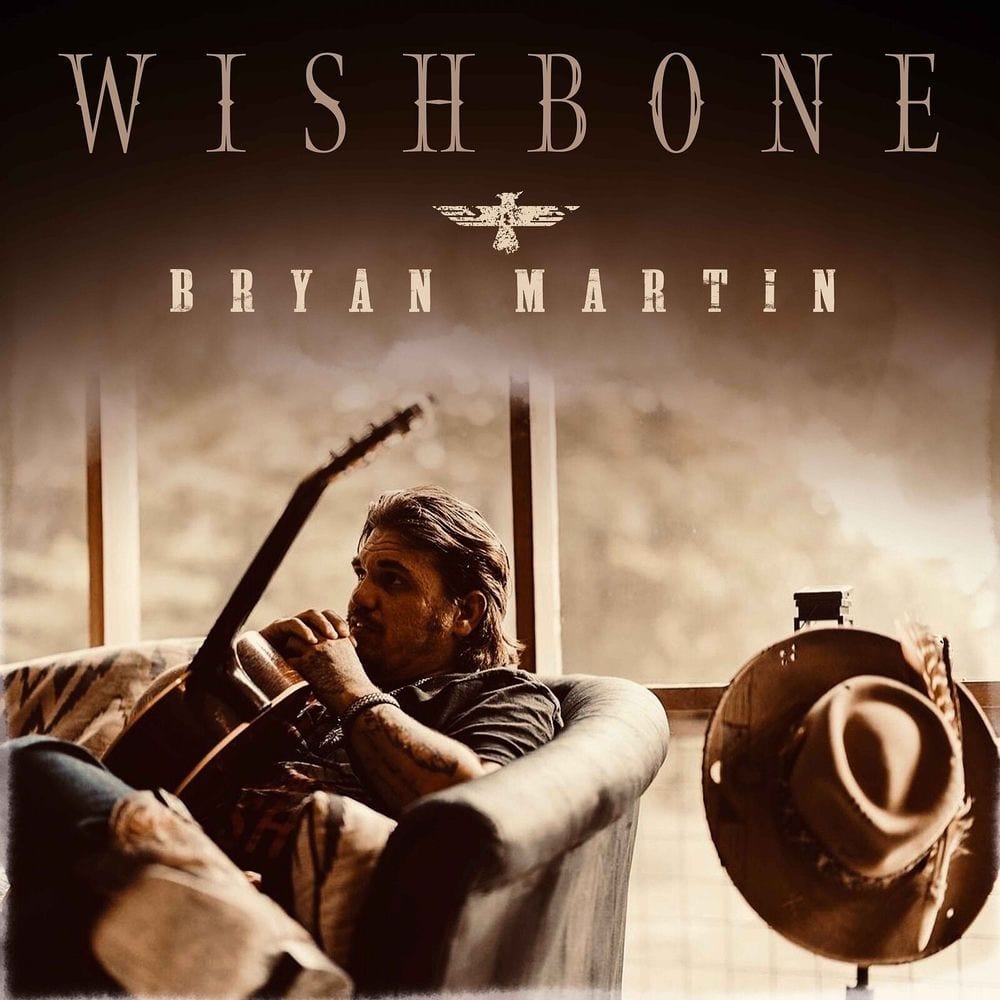Wishbone cover