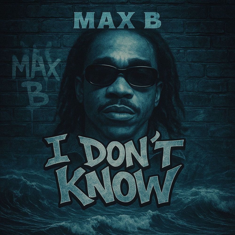 I Don't Know cover