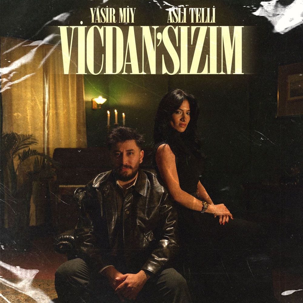 VİCDAN'SIZIM cover
