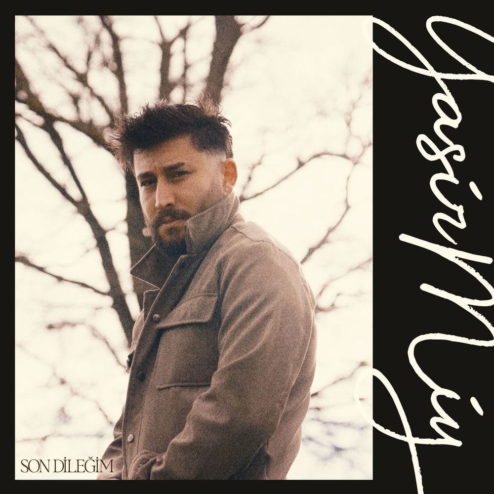 Son Dileğim cover