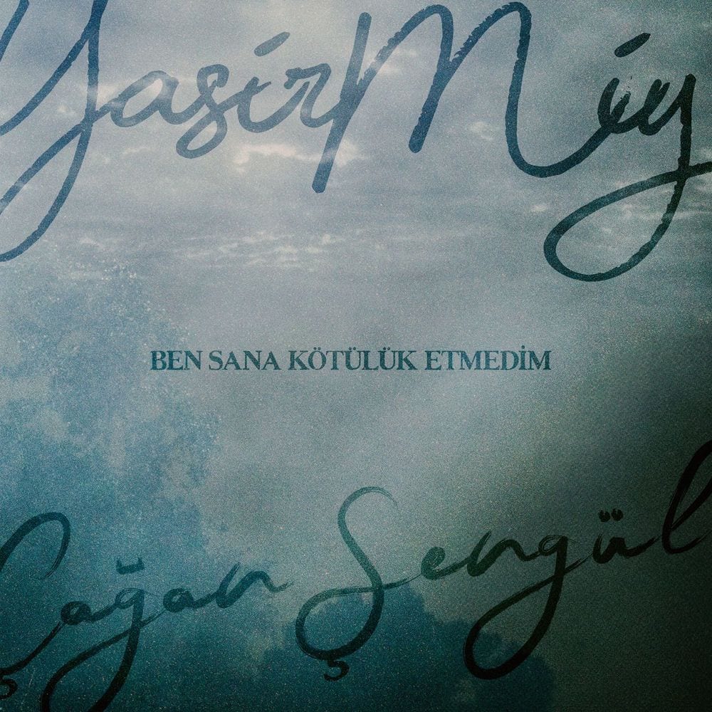 Ben Sana Kötülük Etmedim cover