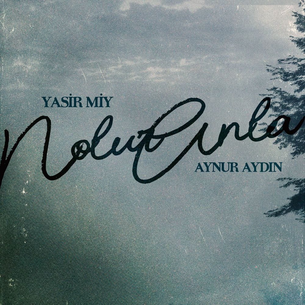 N'olur Anla cover