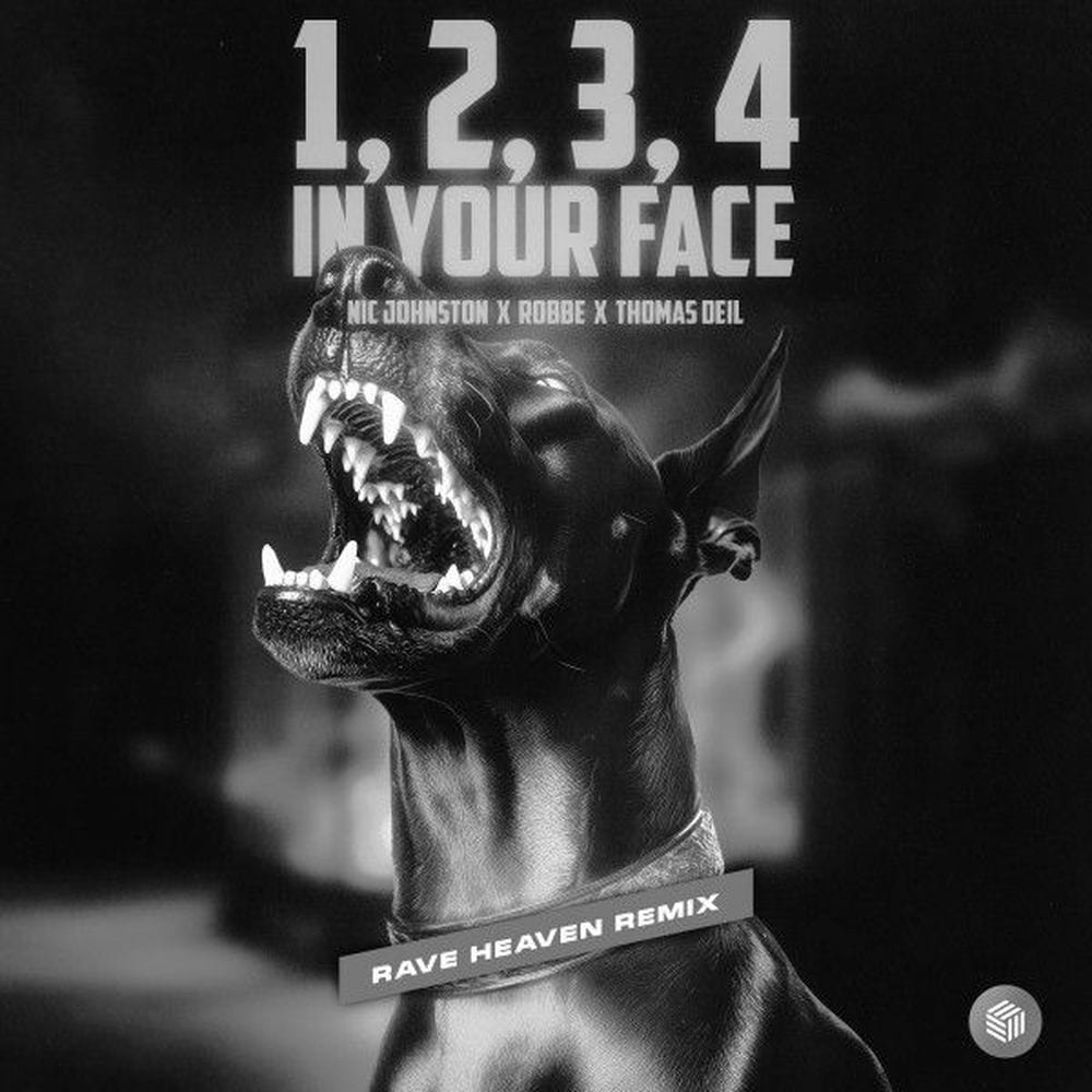 1, 2, 3, 4 (In Your Face) (RAVE HEAVEN Remix) cover