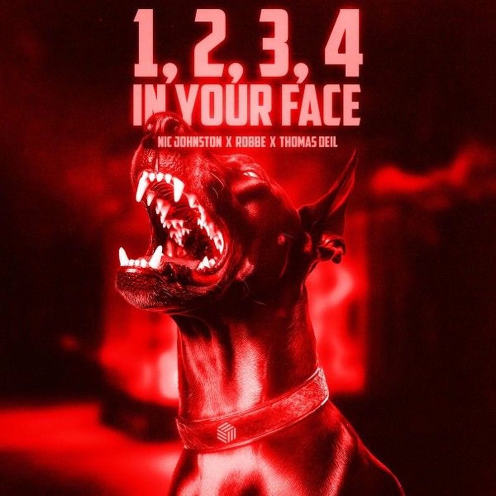 1, 2, 3, 4 (In Your Face) (Kick Edit) cover