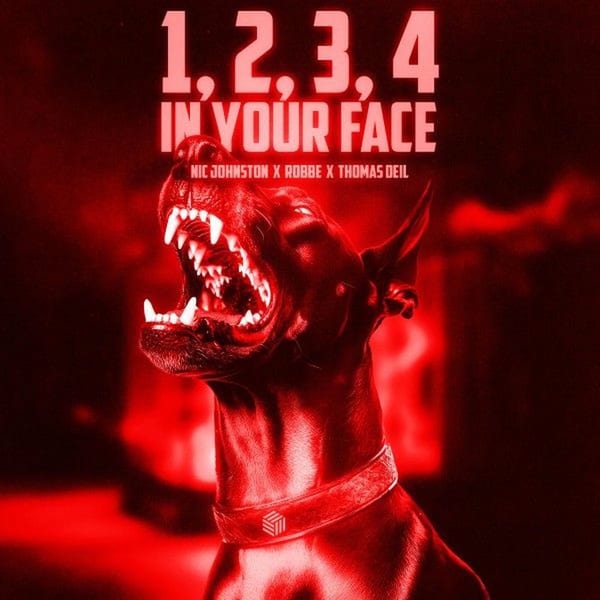 1, 2, 3, 4 (In Your Face) (Kick Edit) album cover
