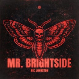 Mr. Brightside album cover