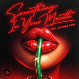 Something in Your Mouth album cover