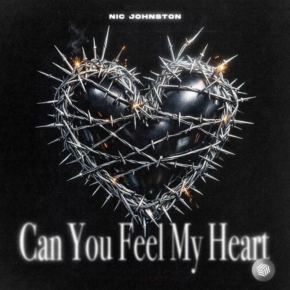 Can You Feel My Heart cover