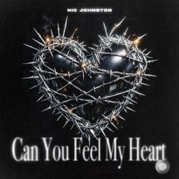 Can You Feel My Heart album cover
