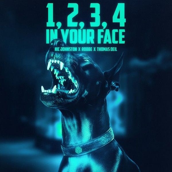 1, 2, 3, 4 (In Your Face) album cover