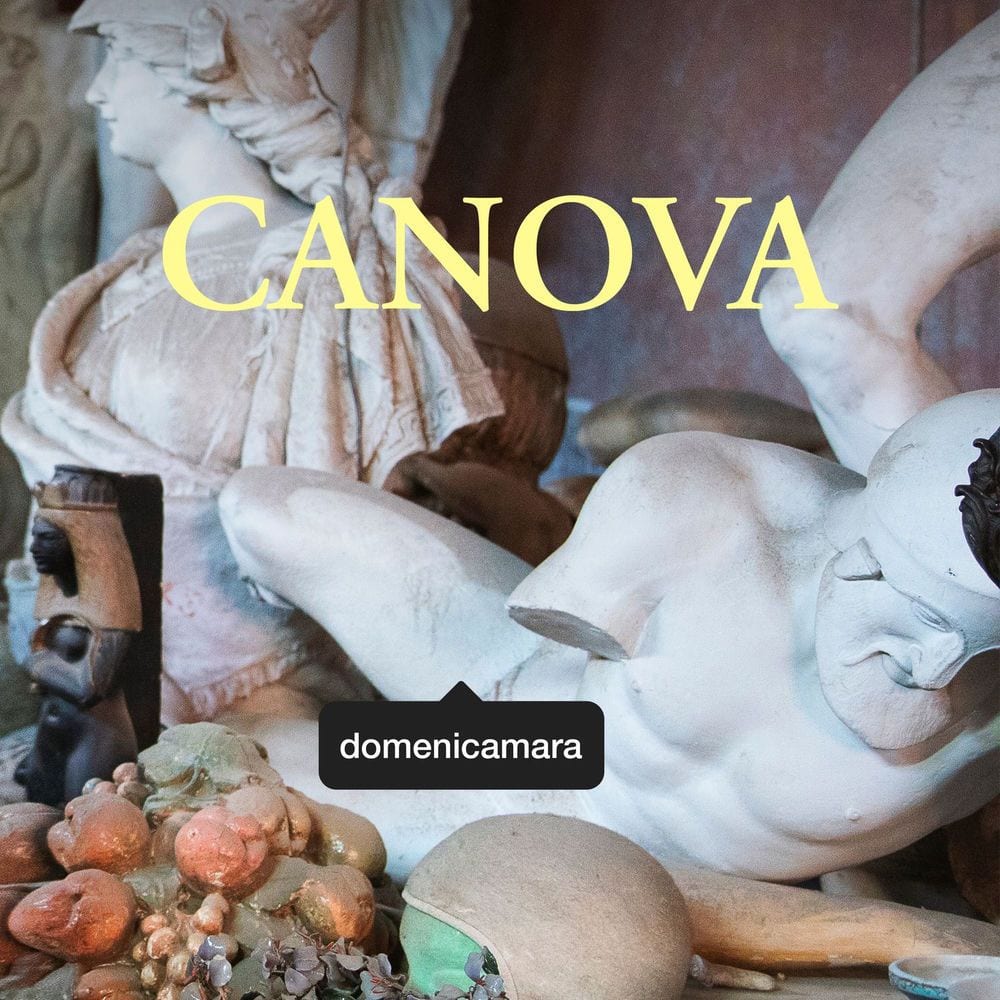 Domenicamara cover