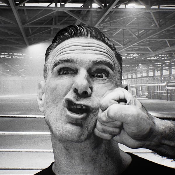 Roll With the Punches album cover