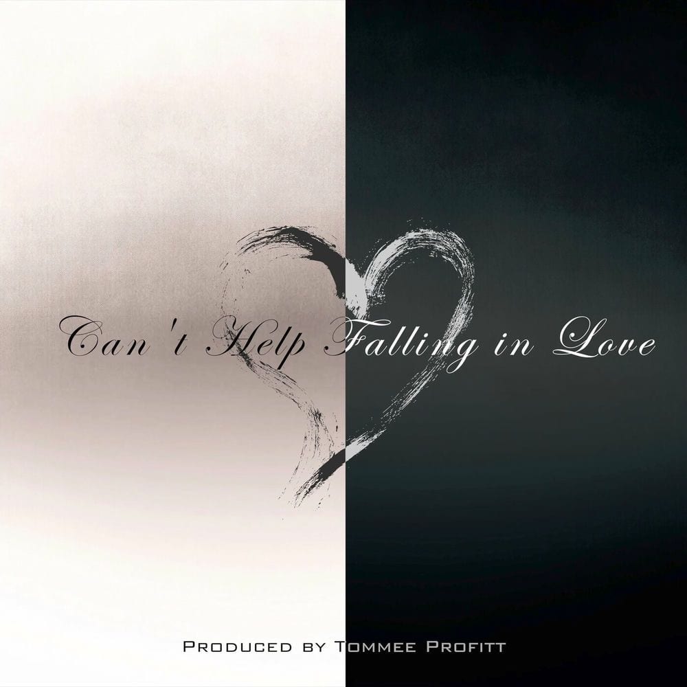 Can't Help Falling In Love cover