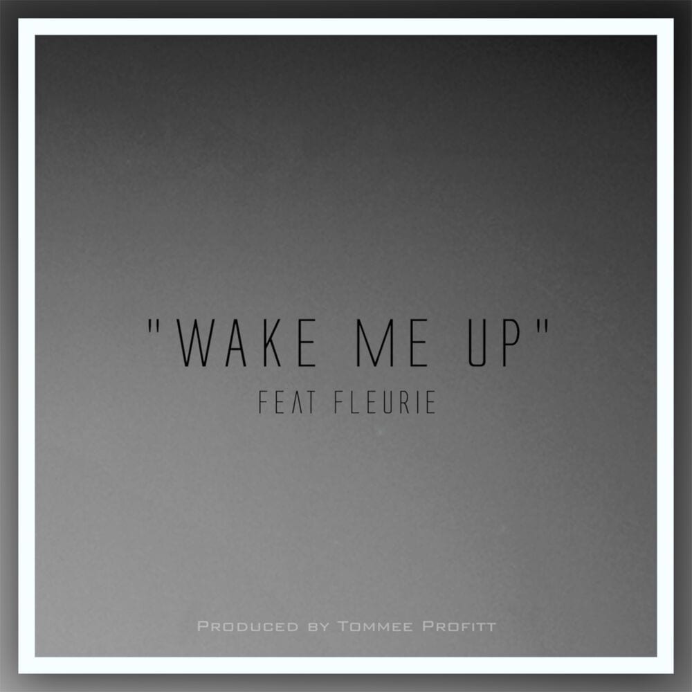 Wake Me Up cover