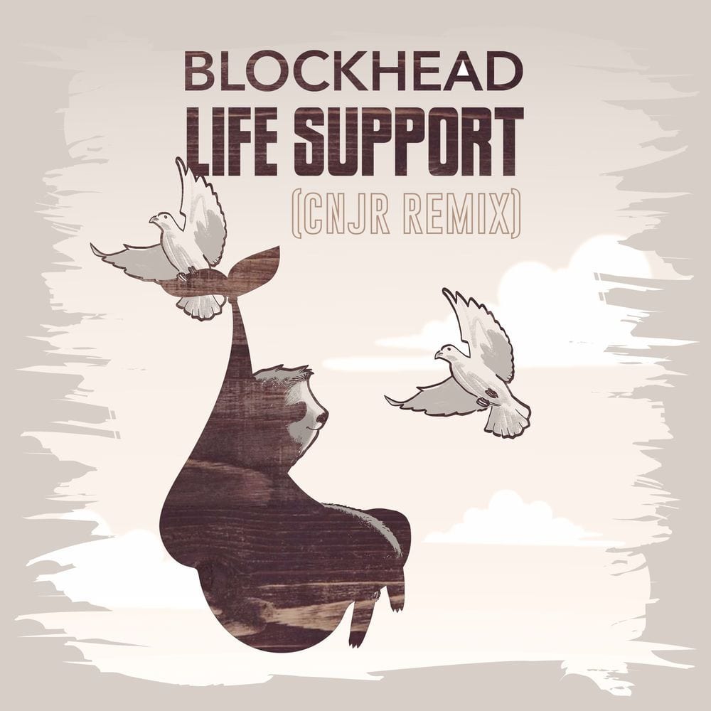 Life Support (CNJR Remix) cover