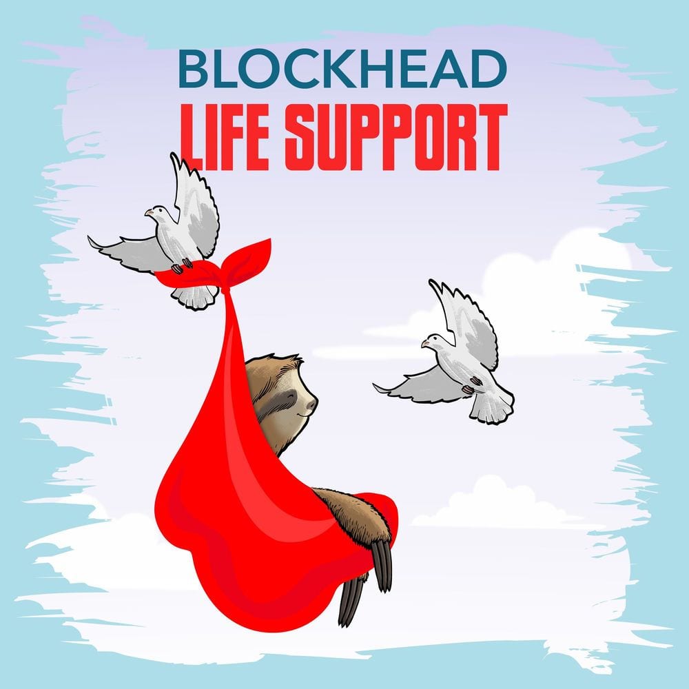 Life Support cover