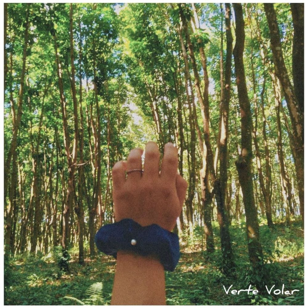 Verte Volar cover