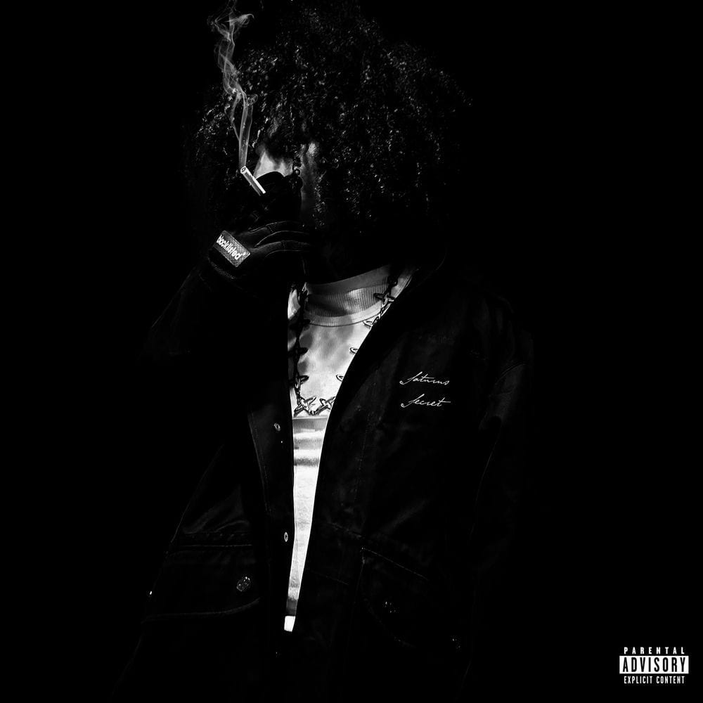 Saturns Secret cover