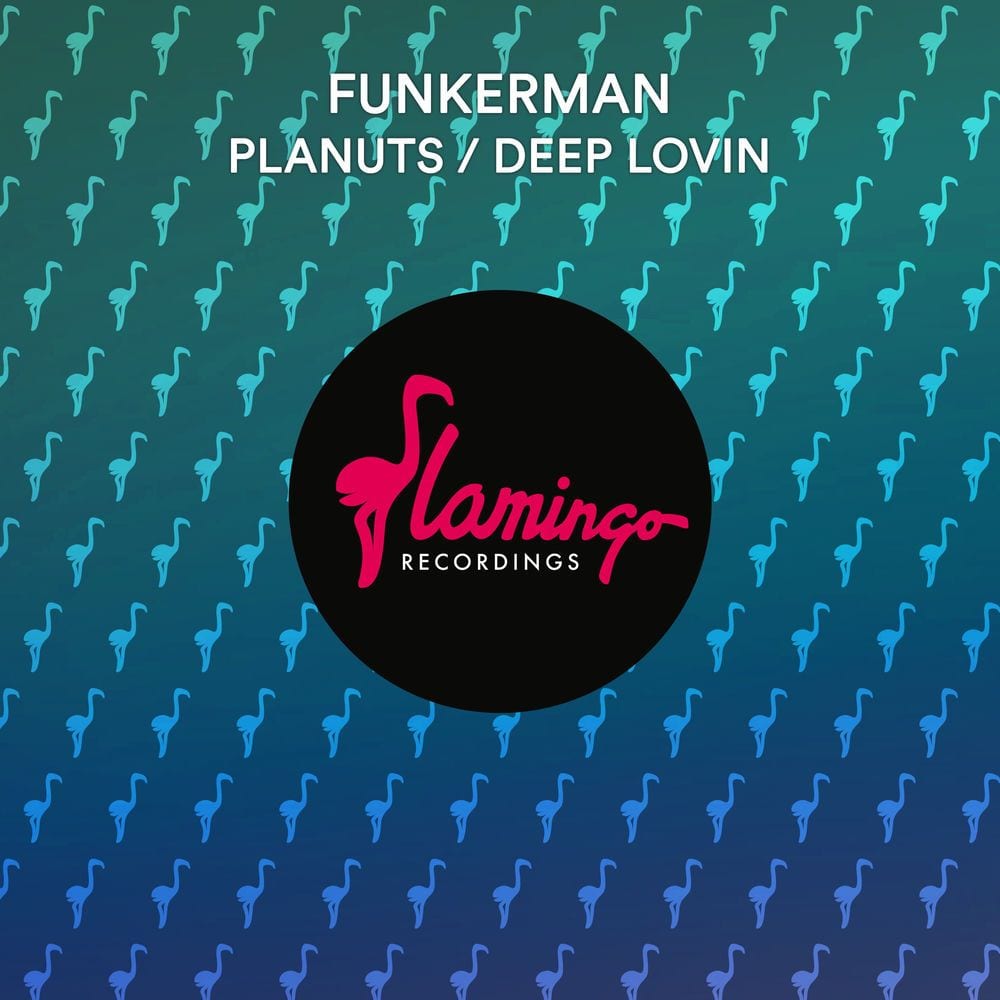 Planuts / Deep Lovin cover