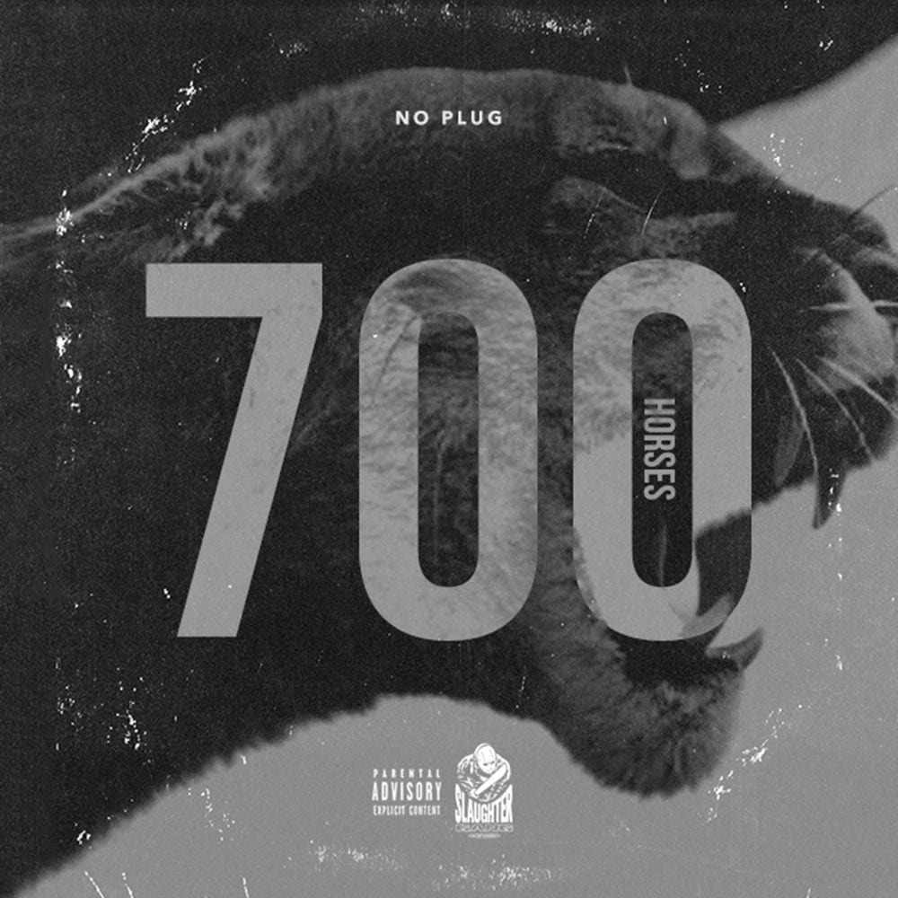 700 Horses cover