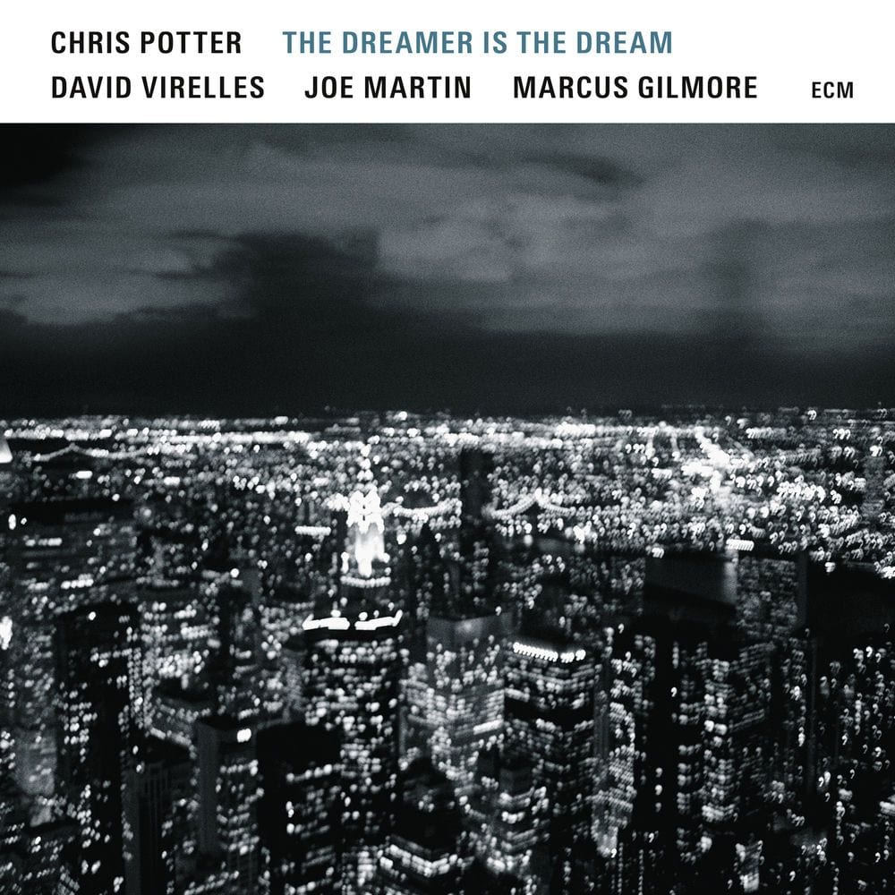 The Dreamer Is The Dream cover