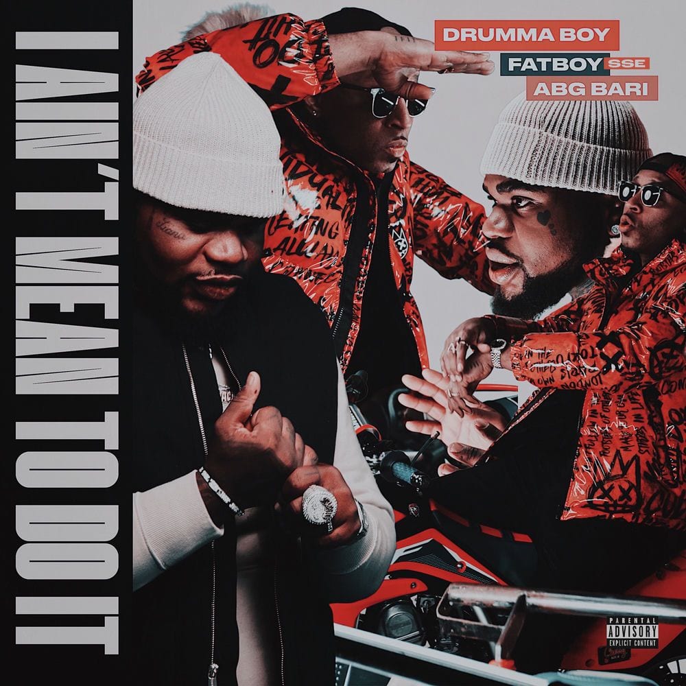 I Ain't Mean to Do It cover