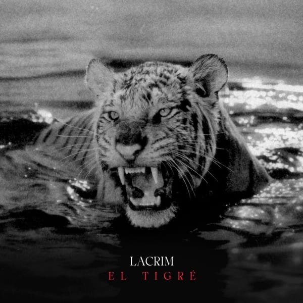 EL TIGRÉ cover