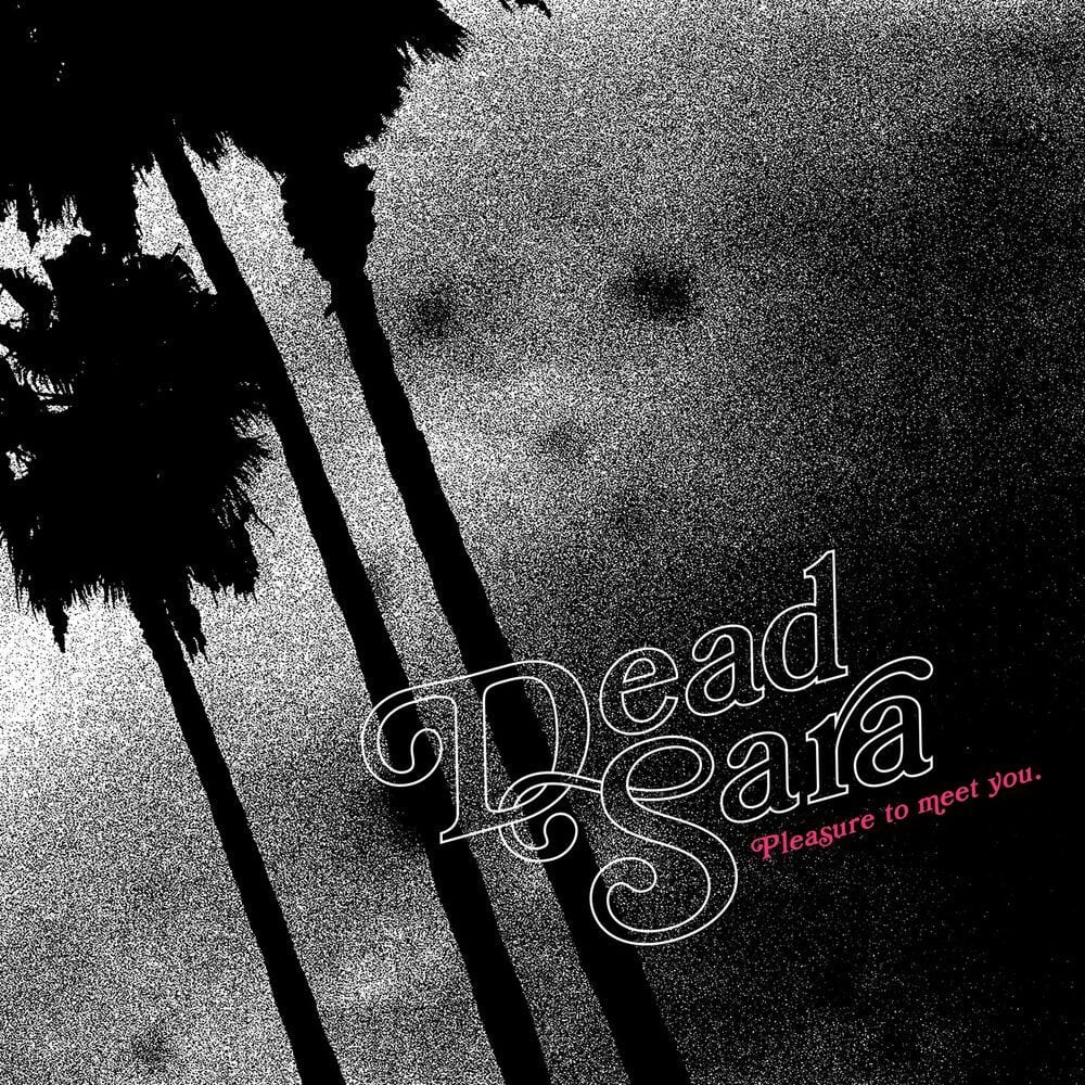 Pleasure to Meet You cover