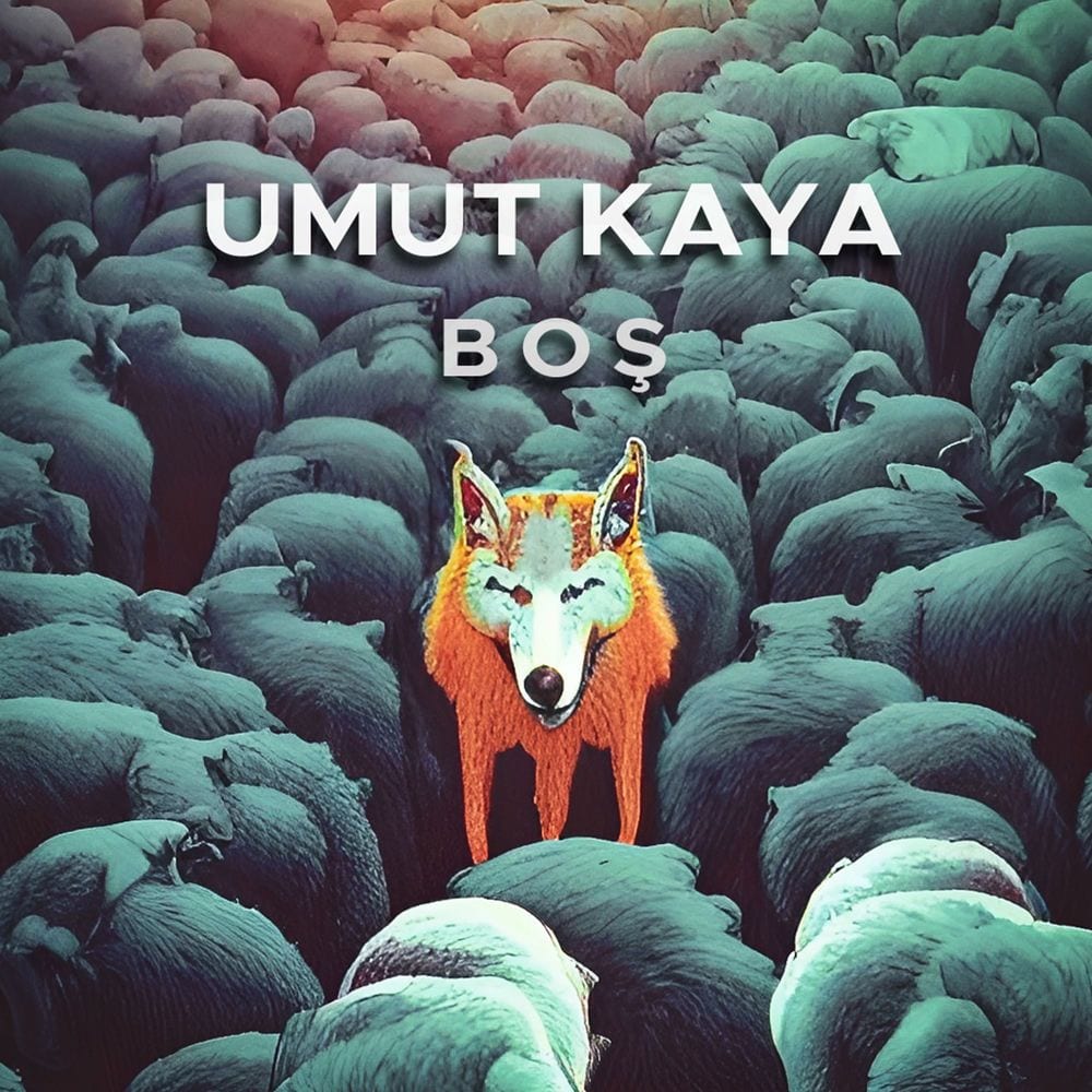Boş cover