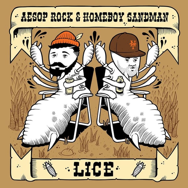 Lice cover