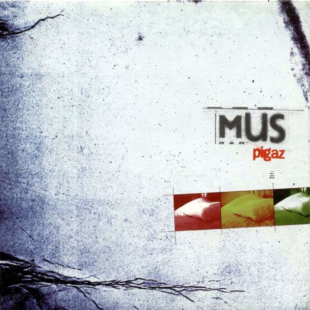 Pigaz cover