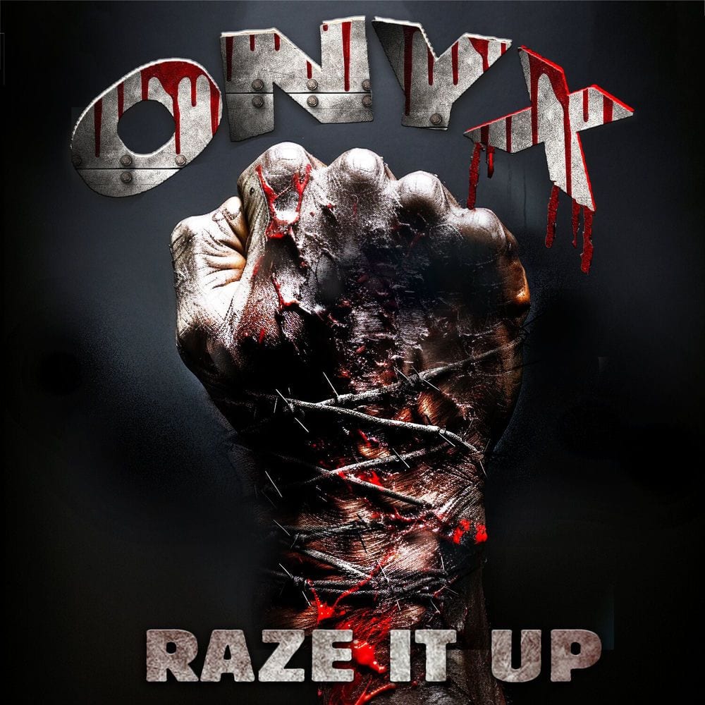Raze It Up (Re-Recorded) cover