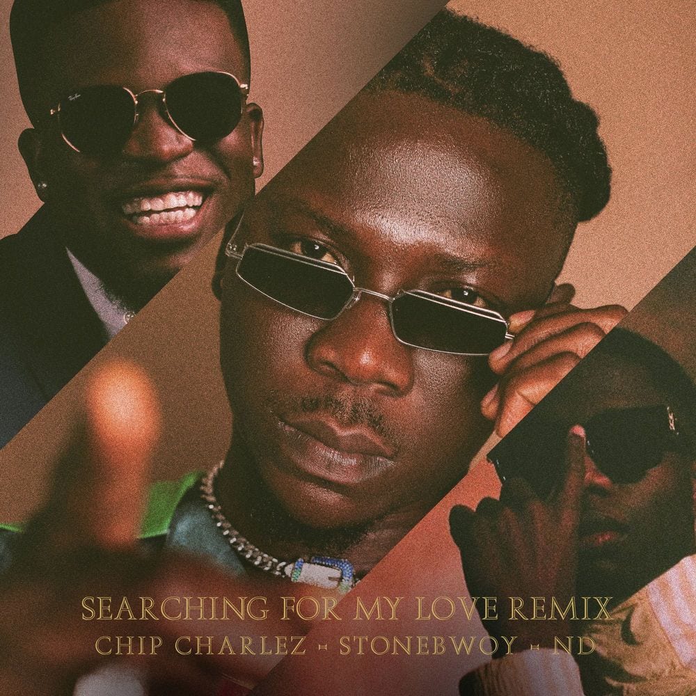 Searching For My Love (Remix) cover