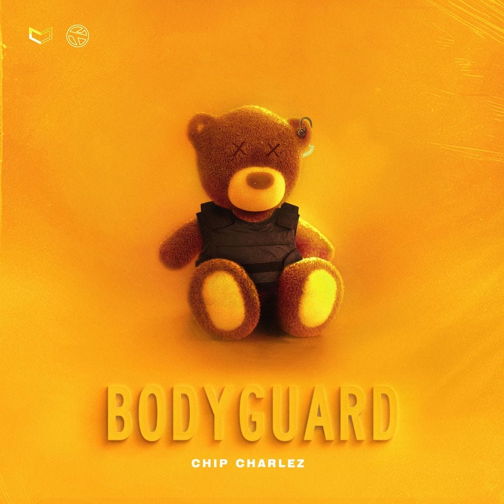 Bodyguard cover