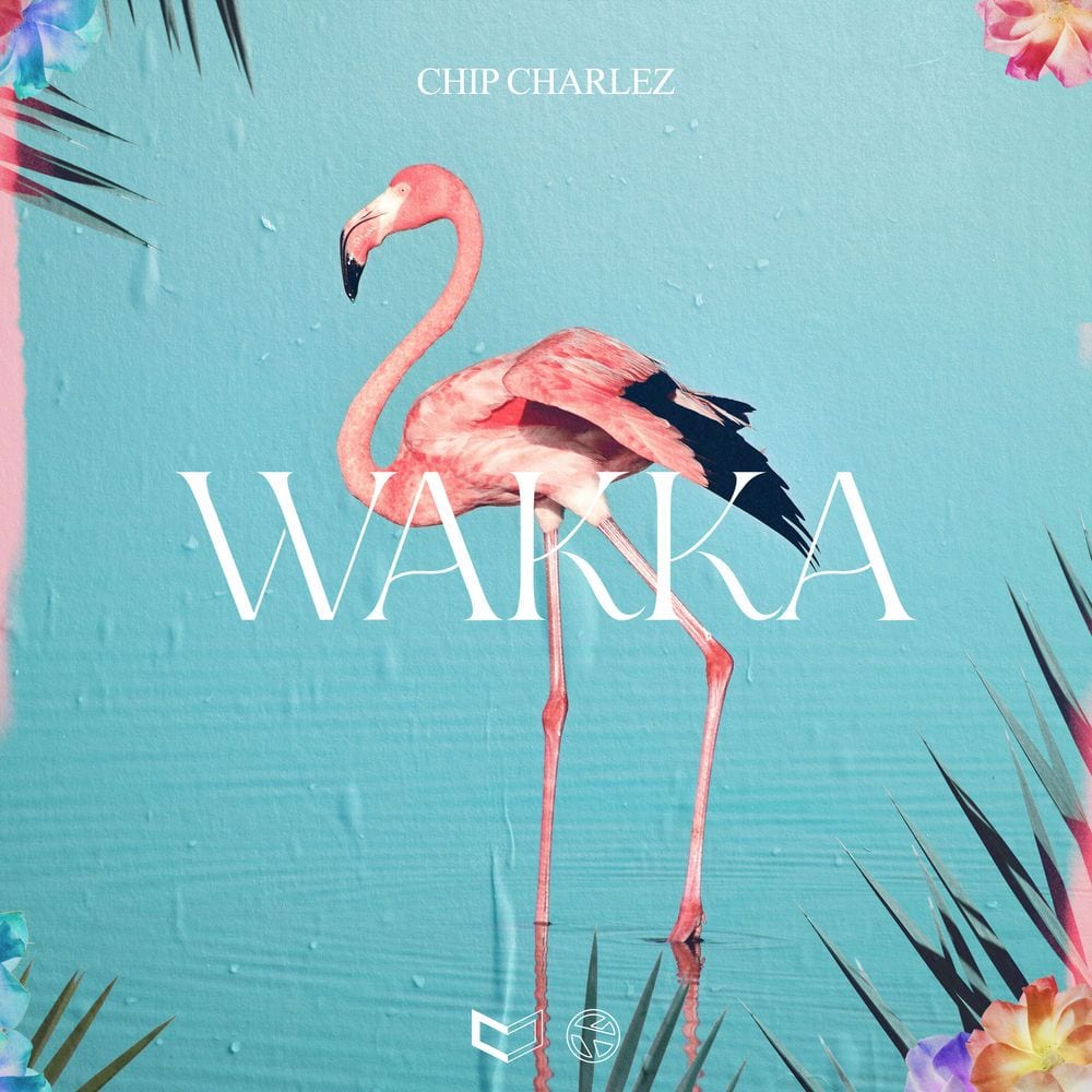 WAKKA cover