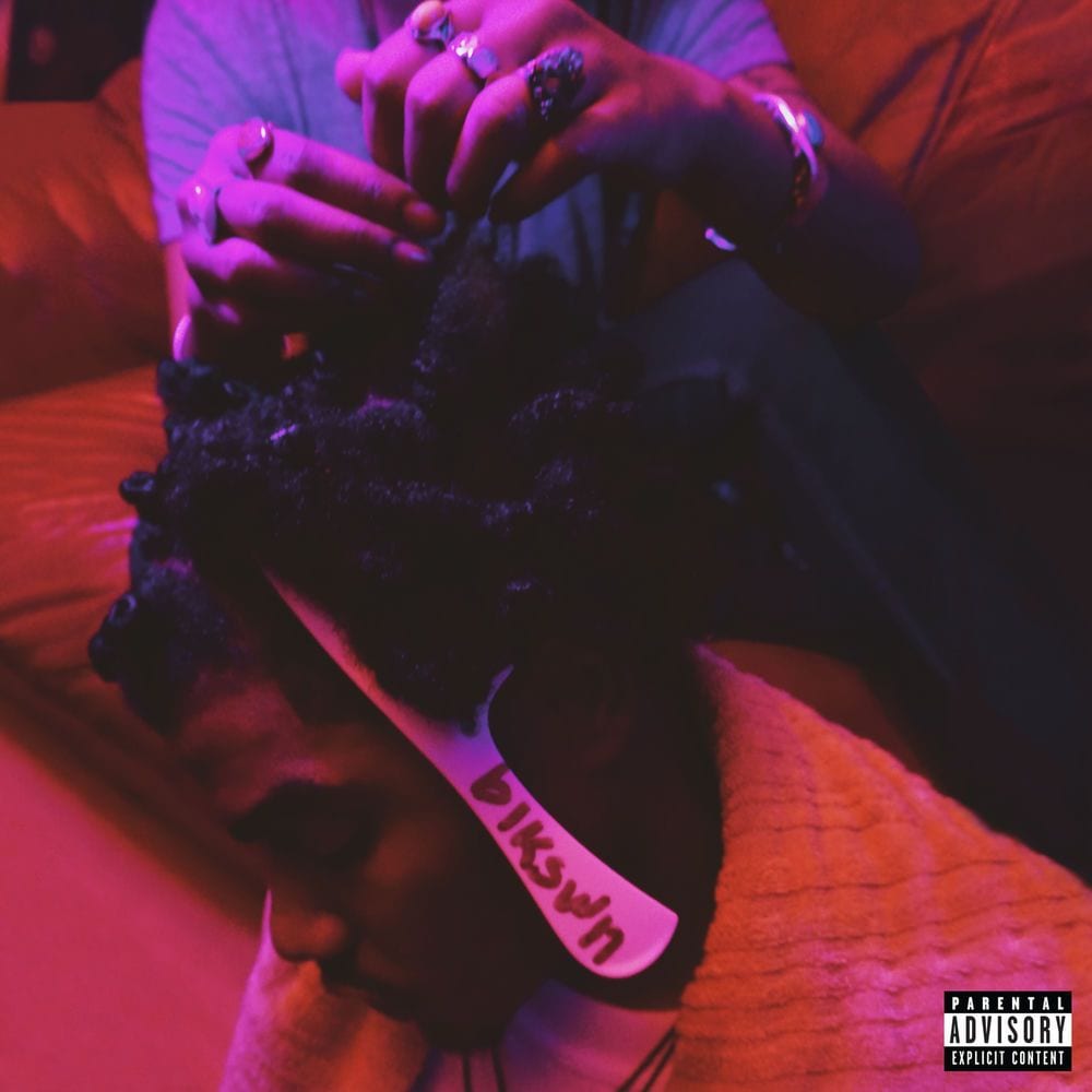 blkswn cover