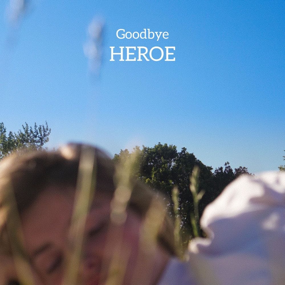 Goodbye cover