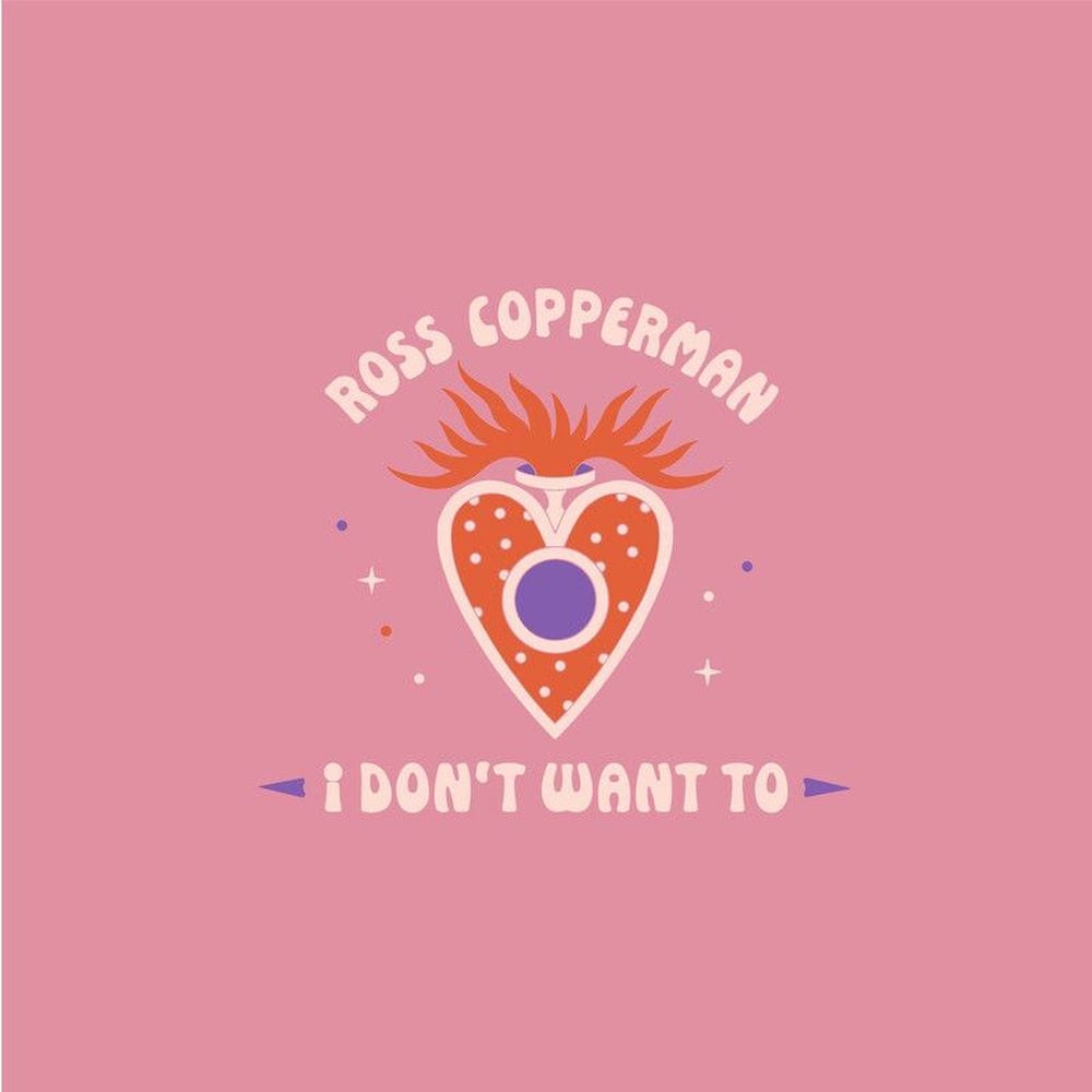 I Don't Want To cover