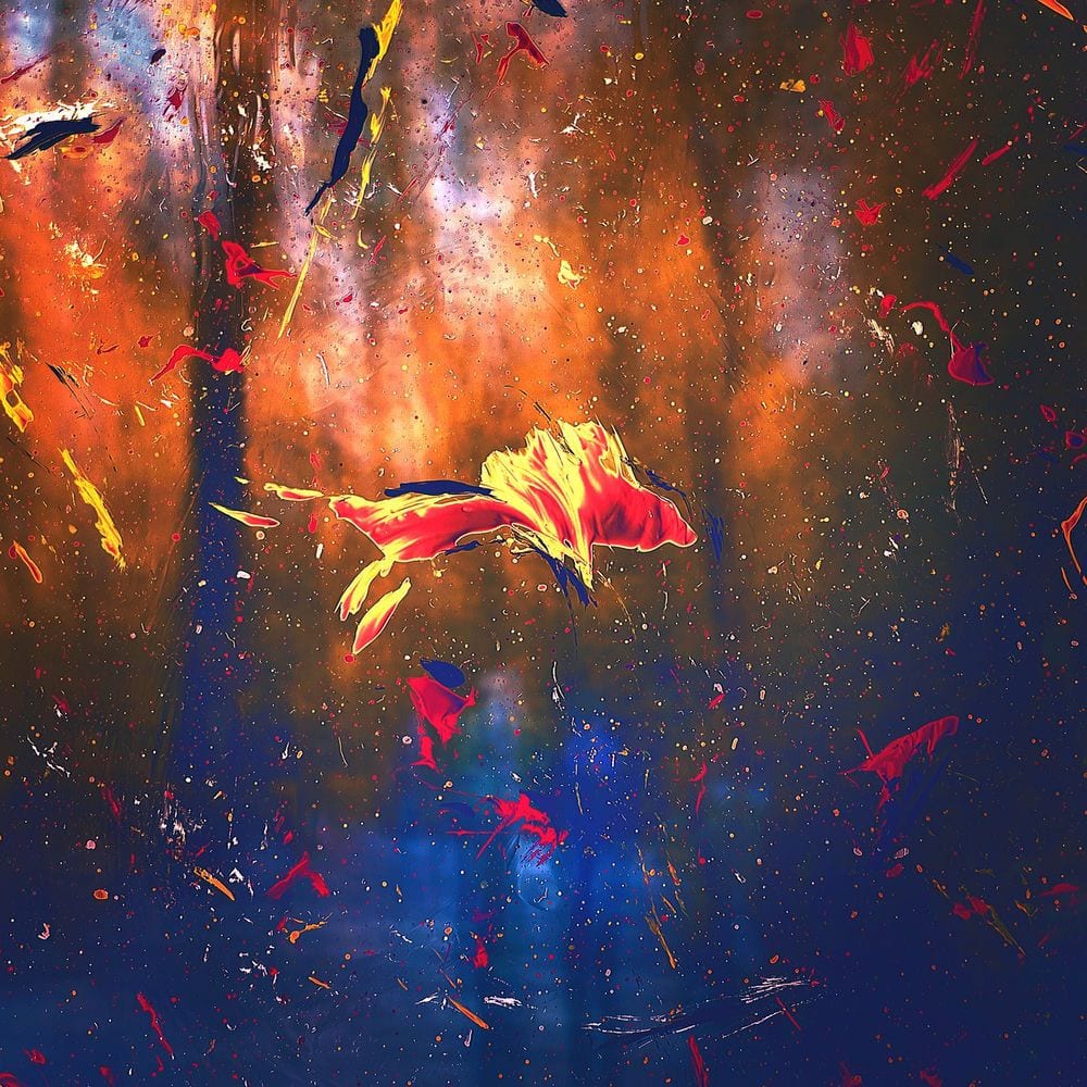 In New Light cover