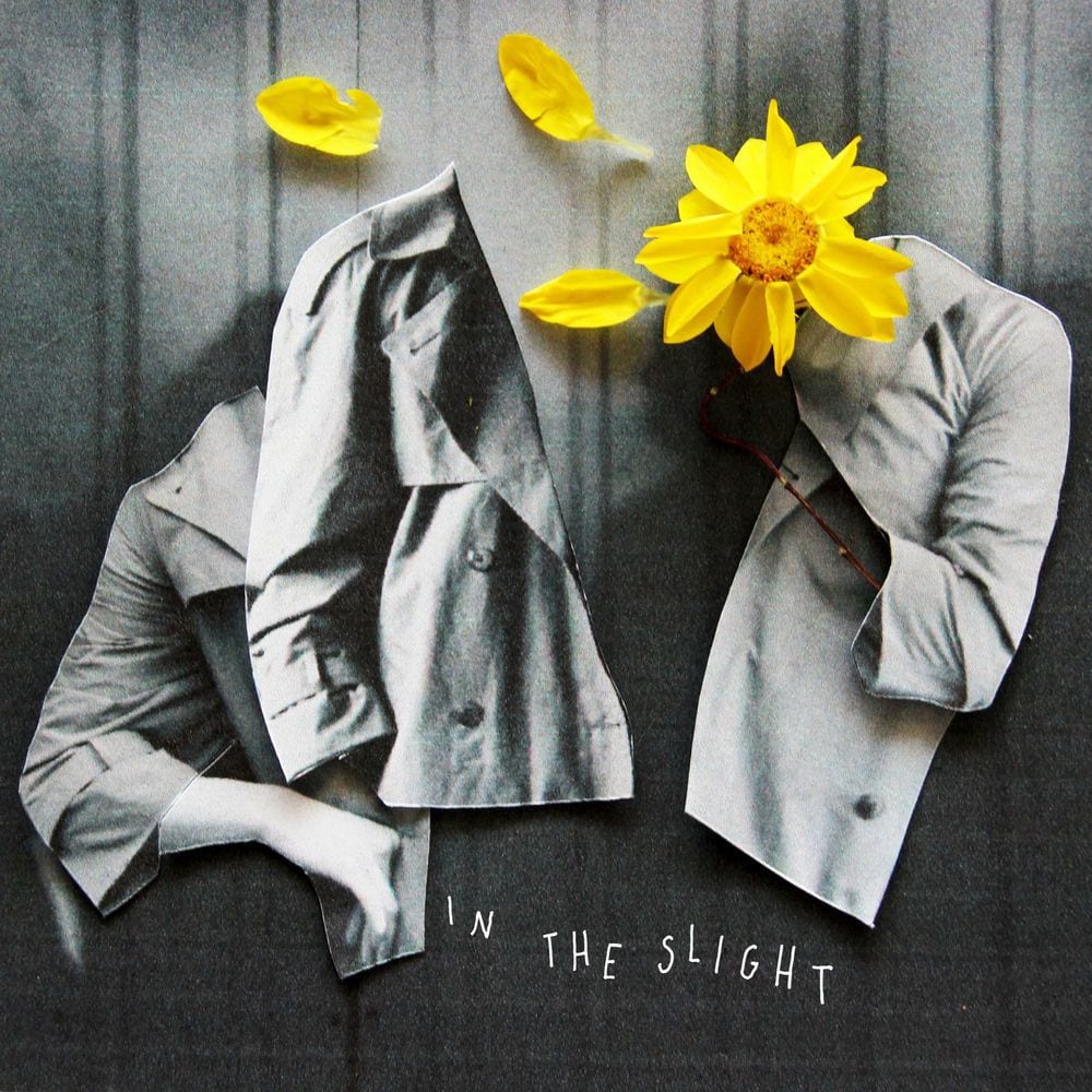 In the Slight cover