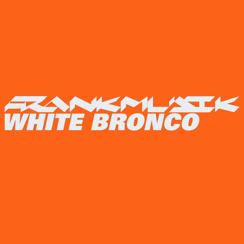 White Bronco cover