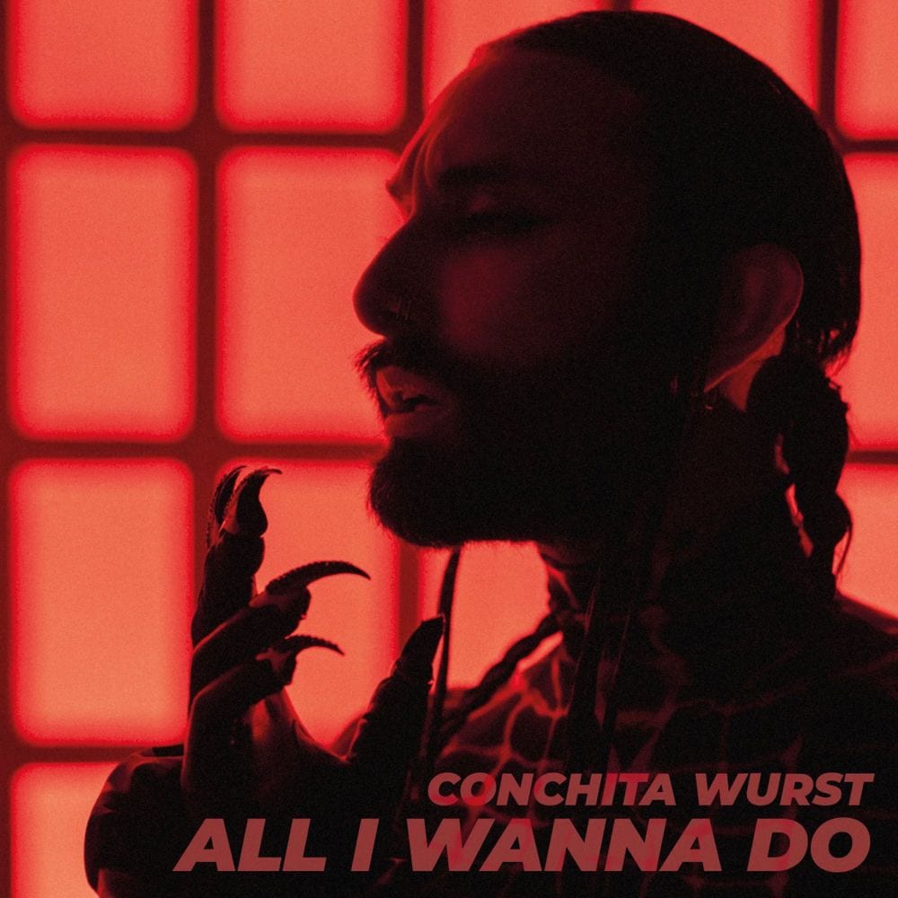All I Wanna Do cover