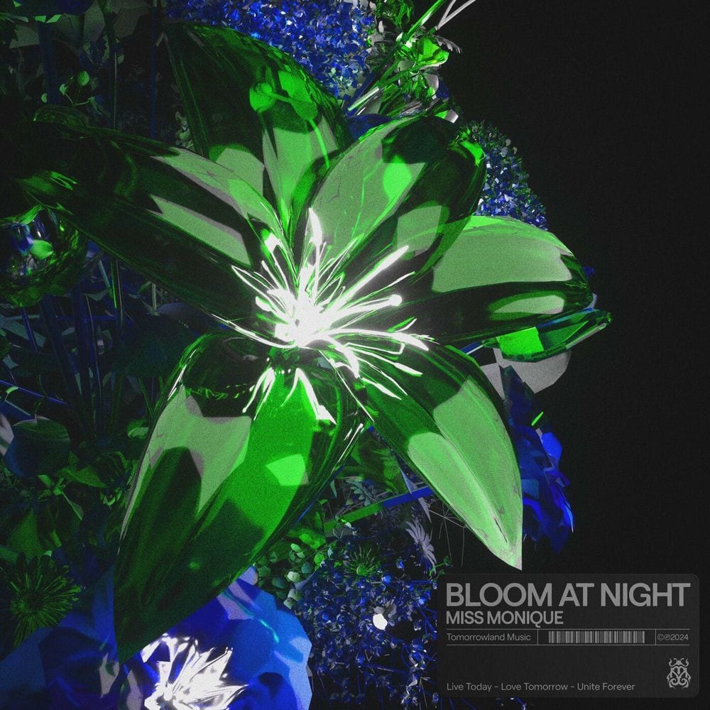 Bloom At Night cover
